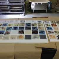 Carrie Iverson "Images In Glass Workshop" March 2105