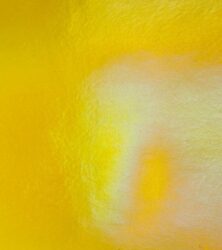 Marigold Yellow Transparent, Iridescent, Rainbow