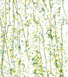 Dark Green, Spring Green, and Yellow Frit, Spring Green Streamers Clear Base Collage