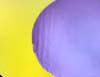 Yellow/Purple Dichroic 96